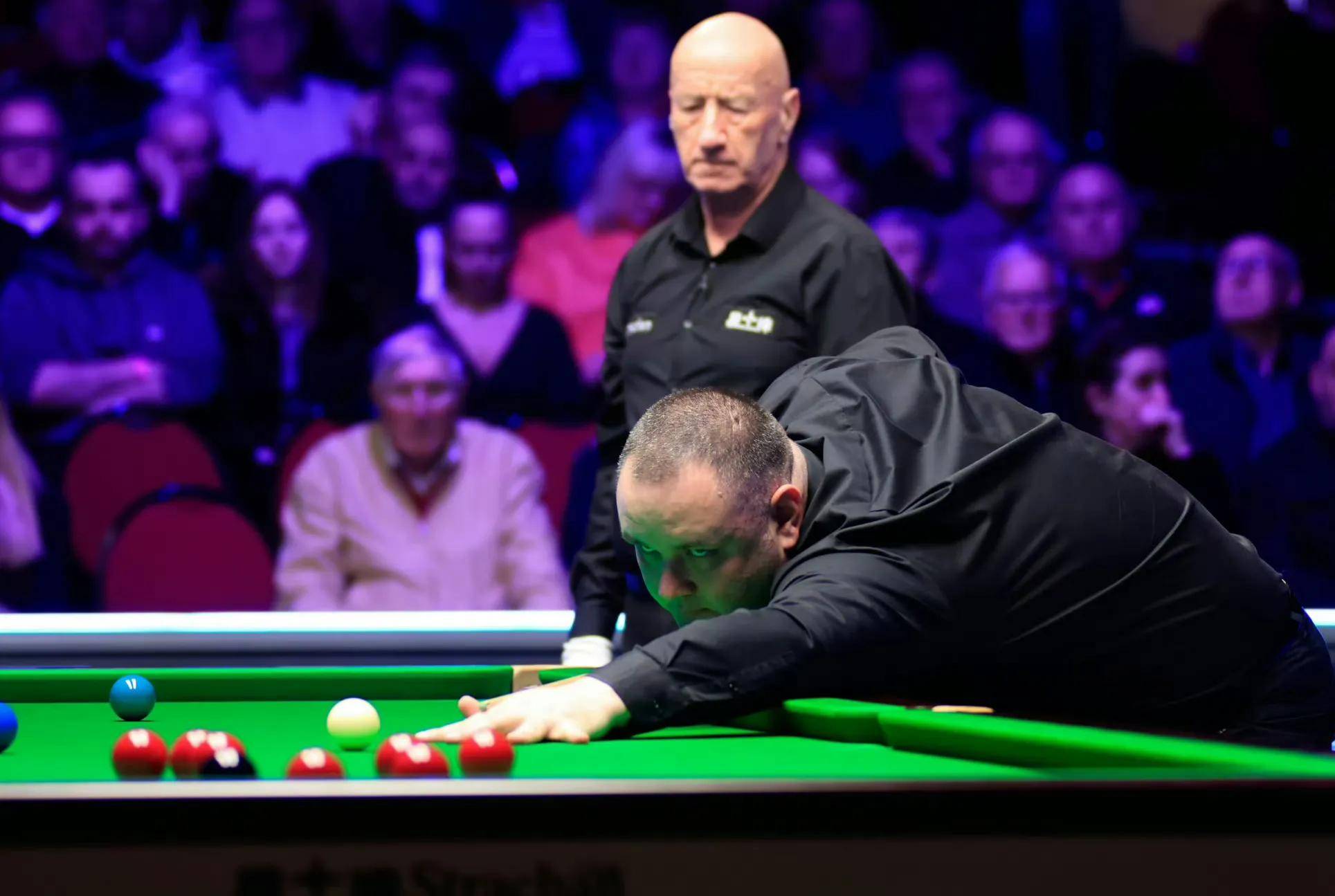 更是整个澳 更是整个澳