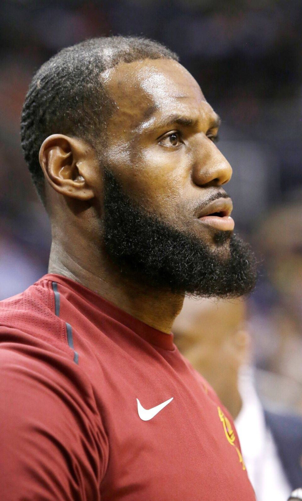 海鲜冷盘 海鲜冷盘